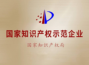 国家知识产权示范企业