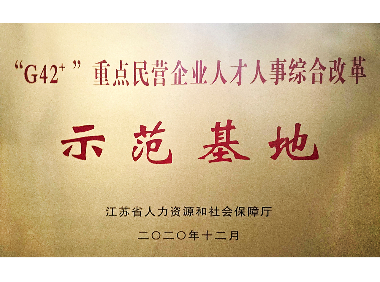 G42+重点民营企业人才人事综合改革示范基地